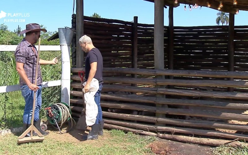 Rodrigo Phavanello ensina Viny Vieira a cuidar dos porcos