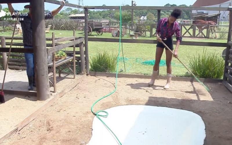 Sabrina Paiva acorda cedo para cuidar do galinheiro