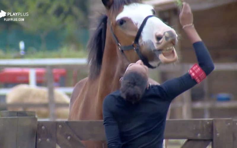 Sabrina Paiva brinca com o cavalo Lyon: 