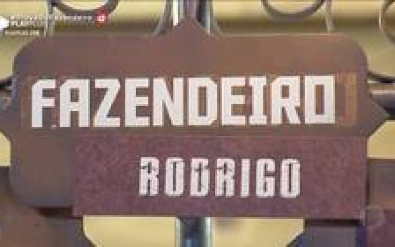 Saiba como o Fazendeiro Rodrigo fez a divisão de tarefas