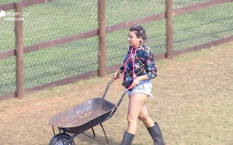 Thayse Teixeira cuida mais uma vez das lhamas nas manhãs