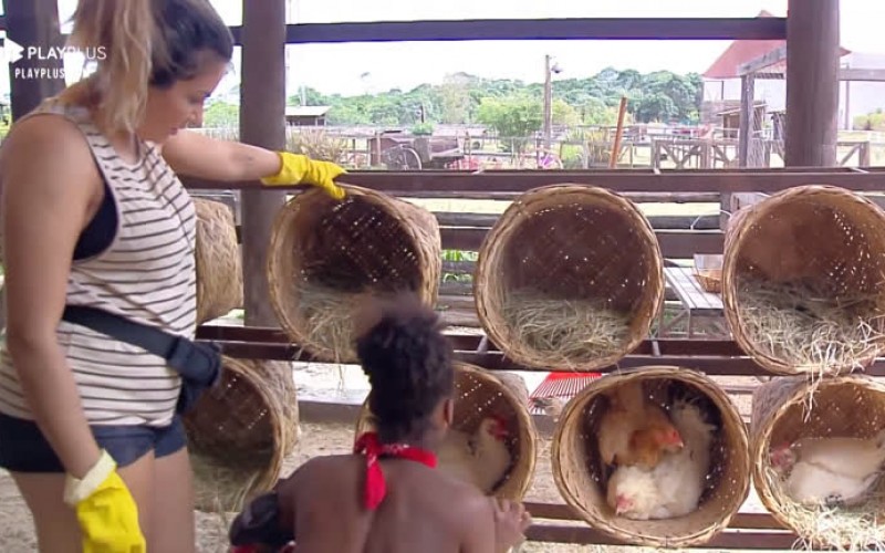 Thayse Teixeira ensina Sabrina Paiva a coletar ovos das galinhas