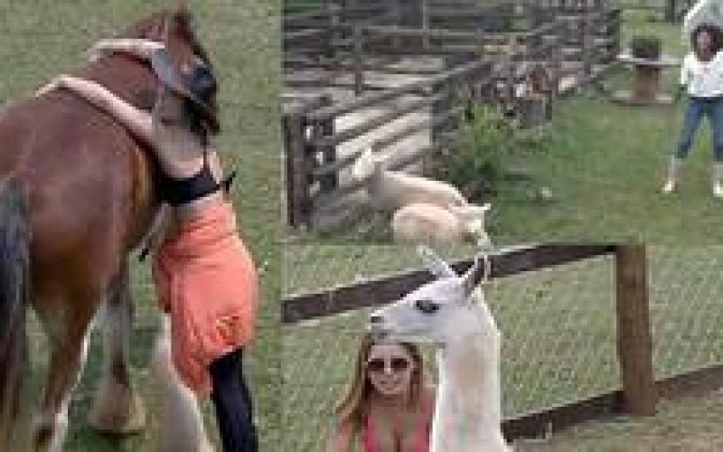 Veja 3 momentos fofos das peoas com os bichos em A Fazenda