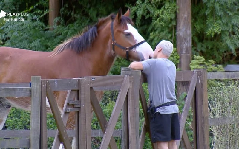 Viny Vieira aproveita tempo livre para brincar com o cavalo Lyon