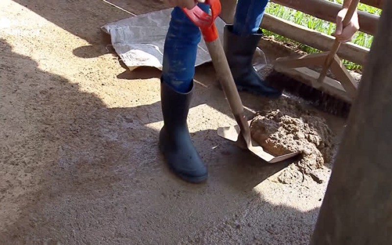 Viny Vieira limpa cocô dos porcos no chiqueiro: 