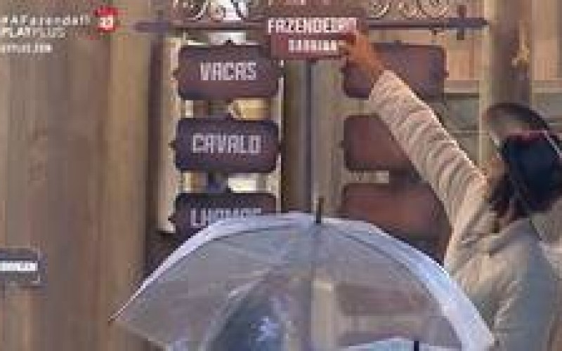 Você sabe como a Fazendeira Sabrina fez a divisão de tarefas?