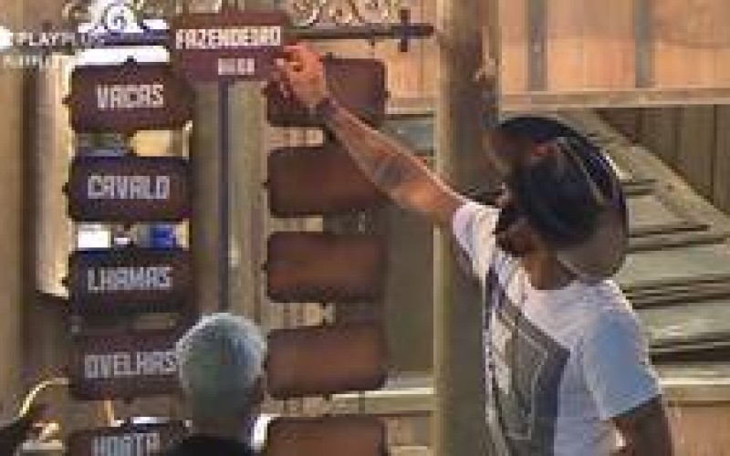 Você sabe como o Fazendeiro Diego fez a divisão de tarefas?