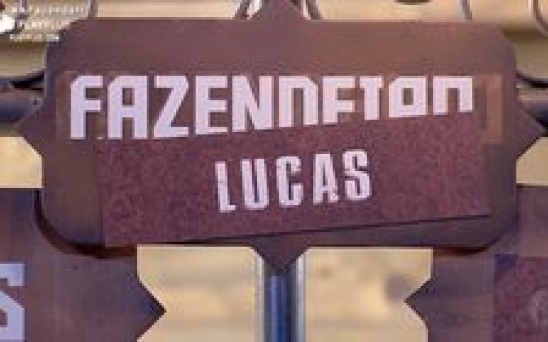 Você sabe como o Fazendeiro Lucas fez a divisão de tarefas?