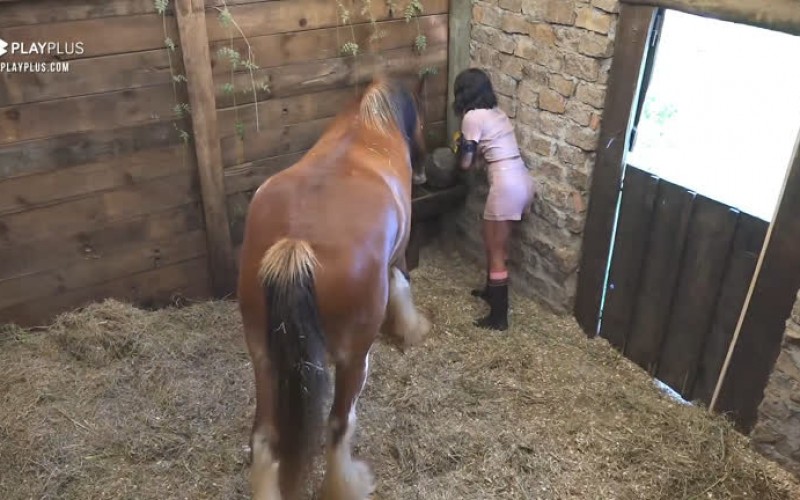 Jakelyne cuida do cavalo Lyon - A Fazenda 12