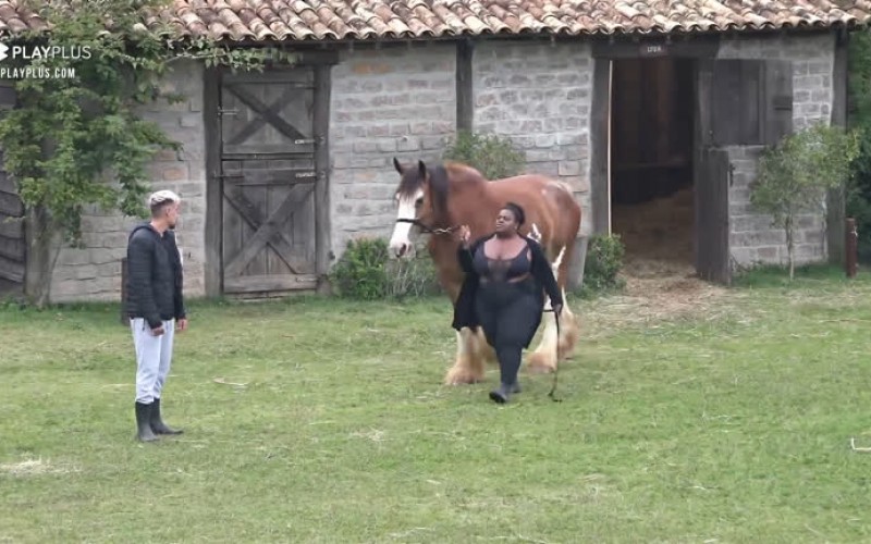 Jojo e Lipe cuidam de Lyon - A Fazenda 12