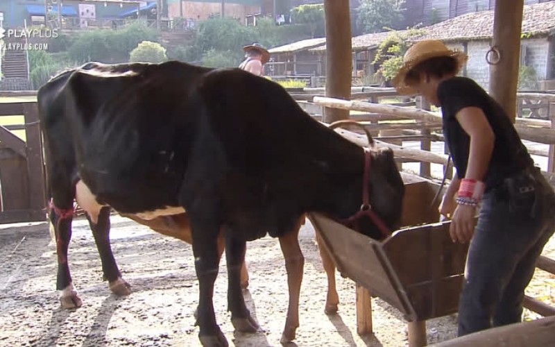 Lidi "conversa" com a vaca - A Fazenda 12