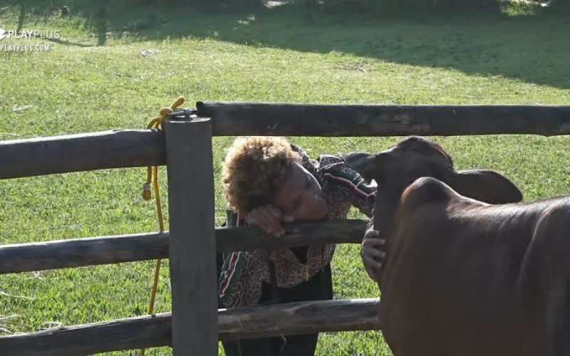 Lidi cumprimenta Priscilo - A Fazenda 12