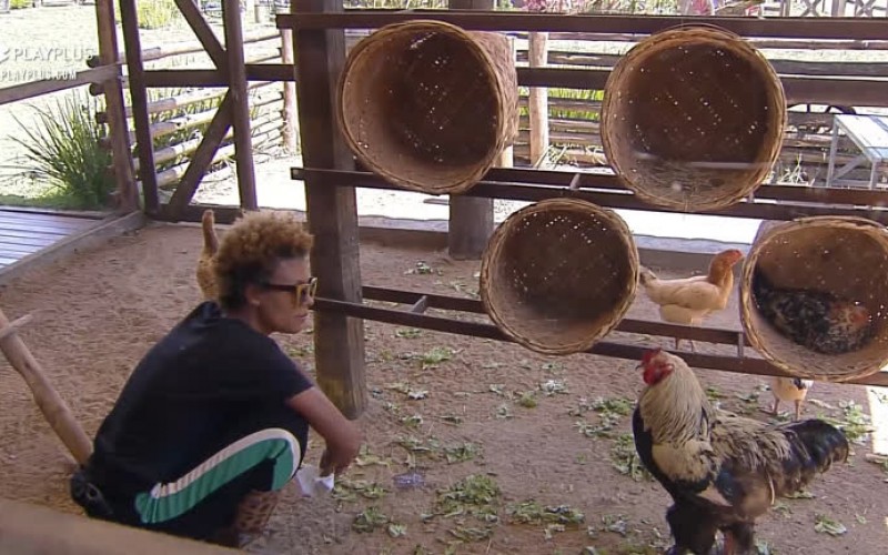 Lidi "dá bronca" nas aves - A Fazenda 12