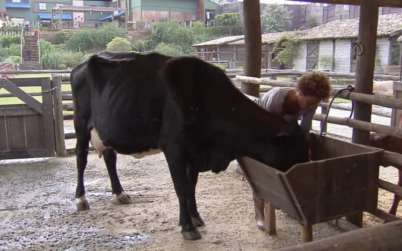 Lidi Lisboa cuida da vaca - A Fazenda 12