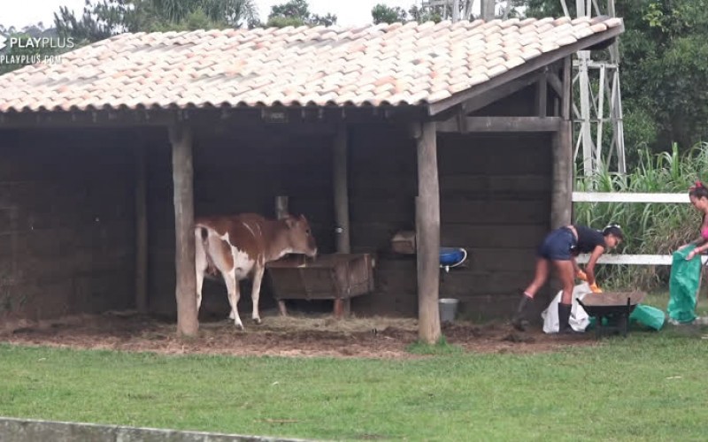 Peoas iniciam tarefas na sede - A Fazenda 12