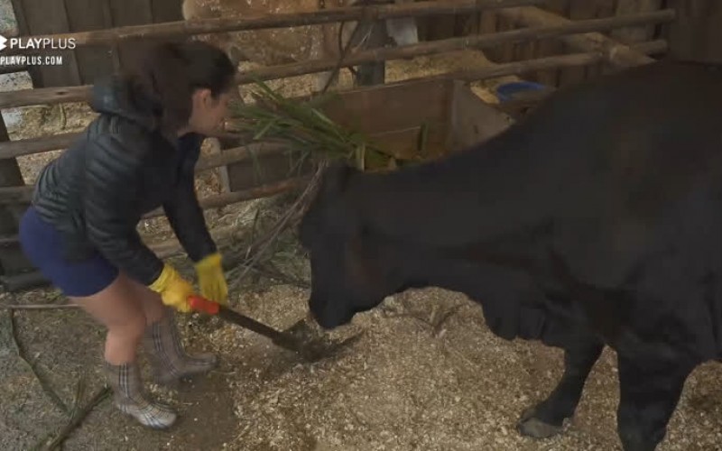 Peões dão início às atividades - A Fazenda 12