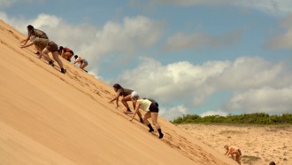 'No Limite': Famosos se divertem com estreia e dizem se participariam do reality