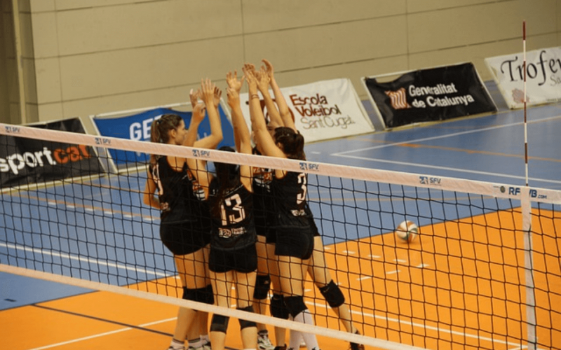 Academia das Apostas: O portal definitivo para apostadores