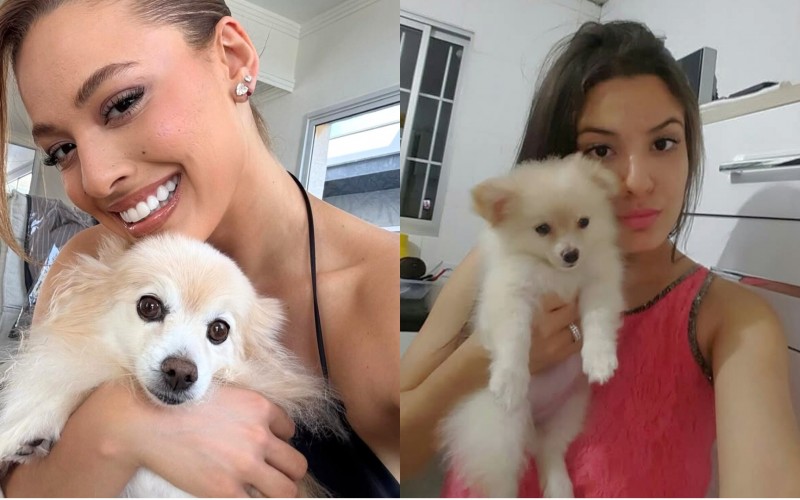 Beatriz Reis lamenta a morte de cachorrinha de estimação: