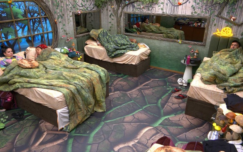 Brothers especulam sobre Poder Curinga do BBB 24 e Yasmin diz: