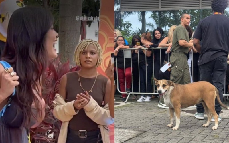 Caravana BBB 25 repercute nas redes com Caramelo, reações,