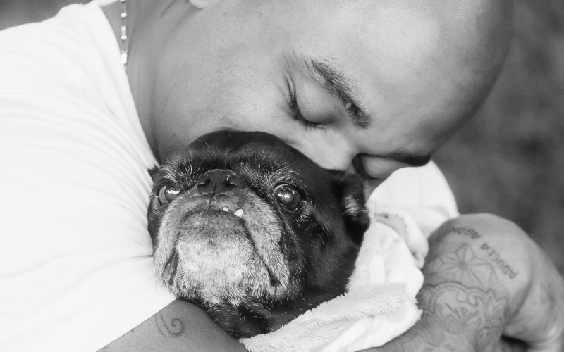 Cezar Black lamenta morte de cachorro Rocco:
