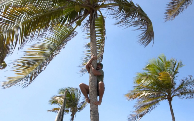 Kaysar escala coqueiro gigante para tentar pegar coco; assista ao vídeo exclusivo do
