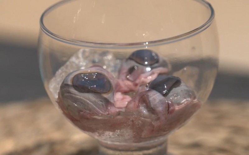 Olho de cabra? Insetos? Assista algumas comidas exóticas do penúltimo episódio de