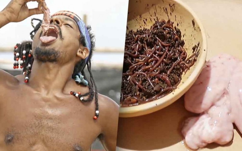Prova da Comida, em