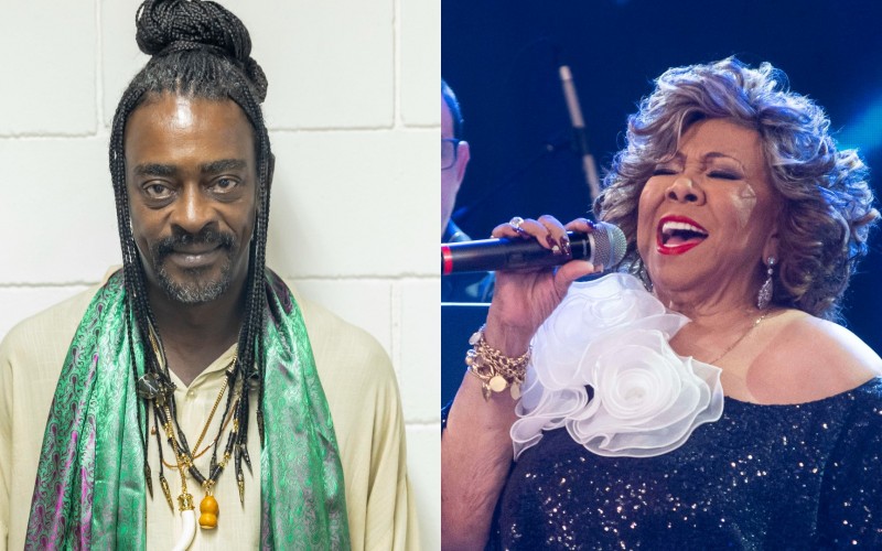 Seu Jorge e Alcione são as atrações musicais da semana no BBB 25