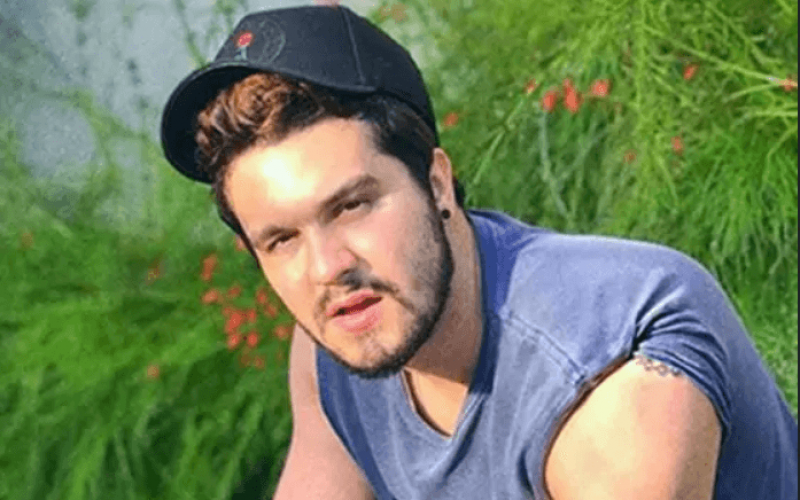 Após show no BBB 2021, Luan Santana manda mensagem para Juliette