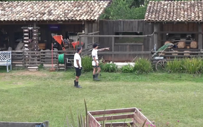 Biel e Lipe se impressionam com ciclo reprodutivo do pavão - A Fazenda 12