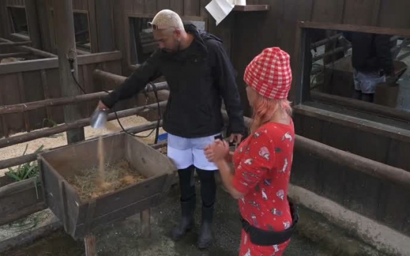 Bil e Dayane explicam para Sthefane e Valentina como cuidar da vaca de ordenha – A Fazenda 13
