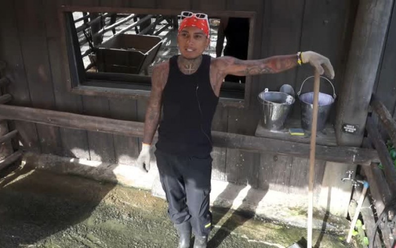 Dynho analisa jogo após discursos de Galisteu – A Fazenda 13