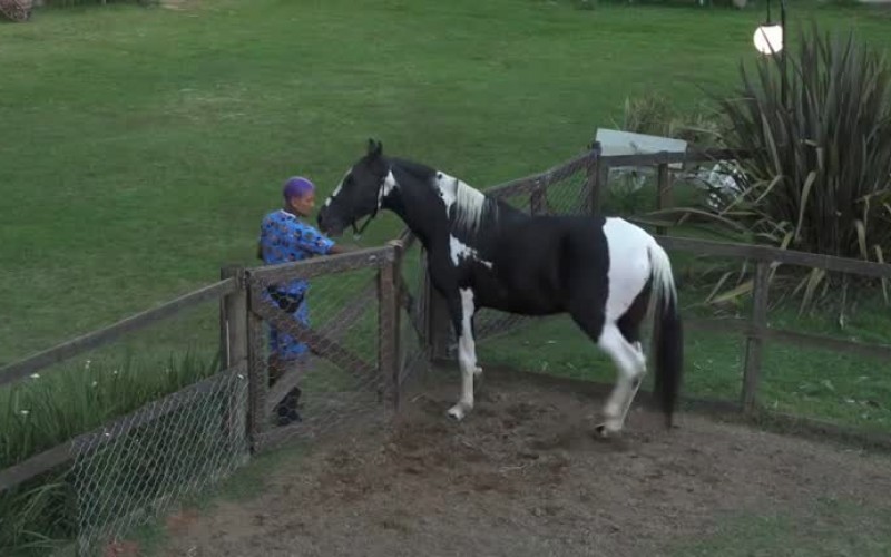 Dynho leva Colorado para a Baia e foge da chuva - A Fazenda 13