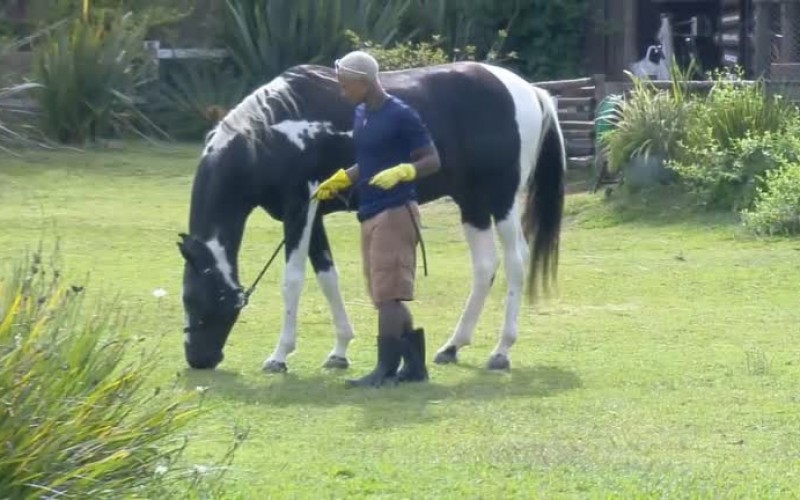 Dynho passeia com o Colorado na área rural - A Fazenda 13