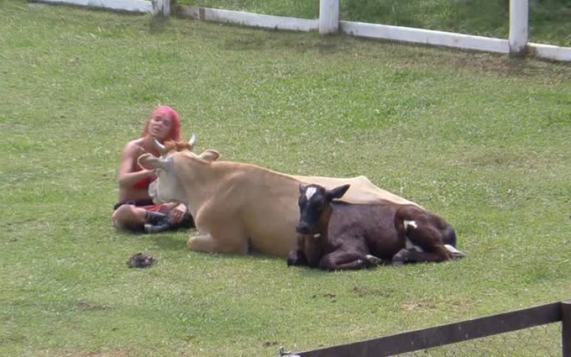 Em conversa com as vacas, Valentina critica Bil e Gui Araujo - A Fazenda 13