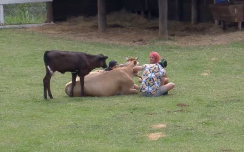 "Eu não tenho medo de você", dispara Valentina sobre Bil Araújo - A Fazenda 13