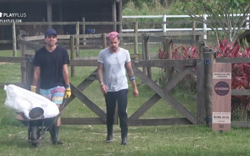 "Ficará um bando de planta se elogiando", dispara Lucas - A Fazenda 12