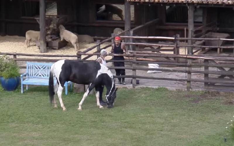 Gui Araujo conversa com o Colorado: "Dá