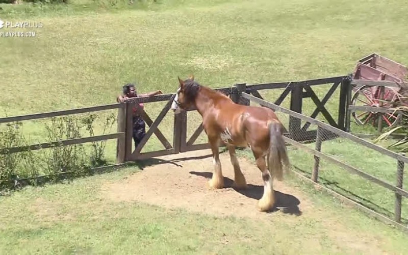 Jojo conversa com Lyon - A Fazenda 12