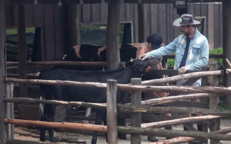 Rico se espanta com o bezerro: "Igual o dente da minha avó" - A Fazenda 13