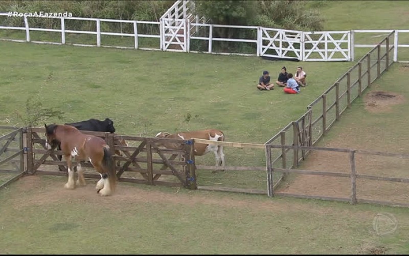Sede fica dividida e peões discutem sobre os grupos - A Fazenda 12