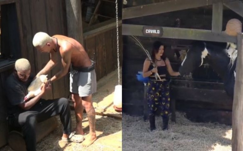 Vai dar saudade! Peões choram ao se despedirem dos bichinhos