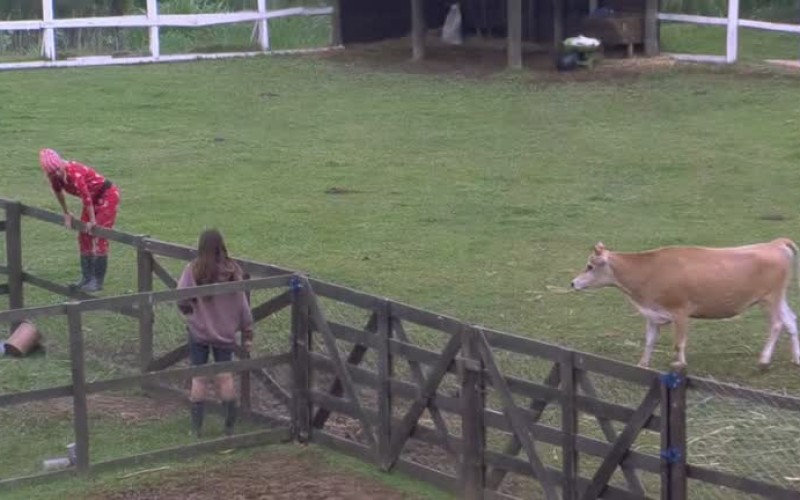 Valentina pula a cerca com medo da Teimosinha - A Fazenda 13